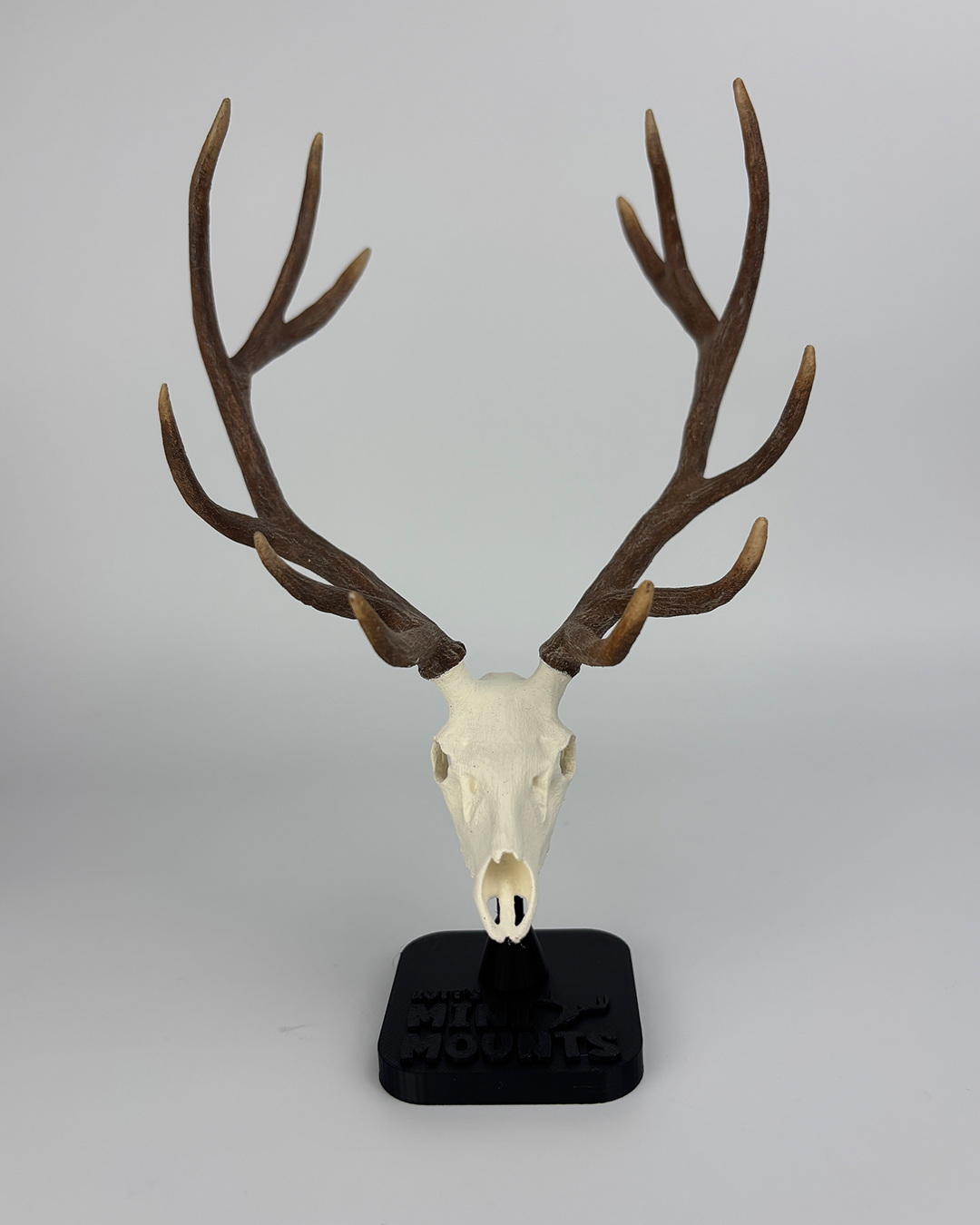 Mini 6-inch Elk euro mount – realistic hand-painted skull replica for desk or hunting display.