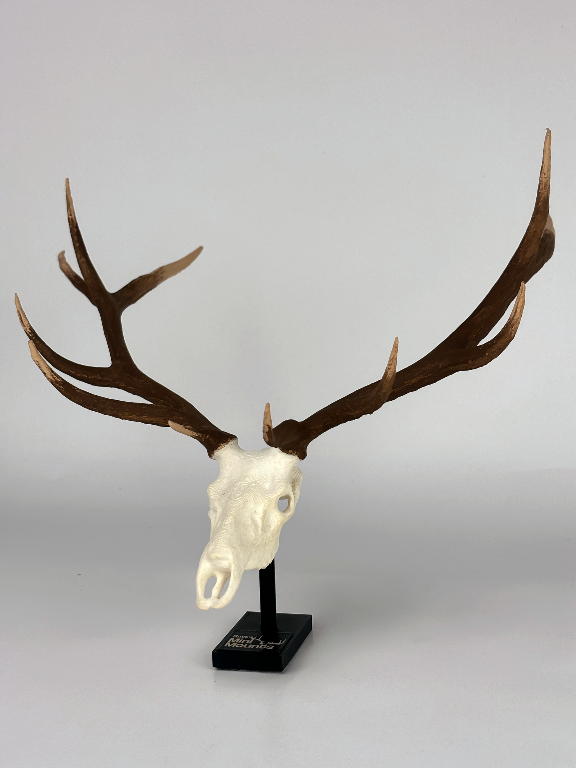 top angle of an extra large mini replica of elk mount, elk mount, elk mount replica, white tail mount, deer mount, mini mounts, mini mount, replica mount, replica deer mount, side angle of the mount