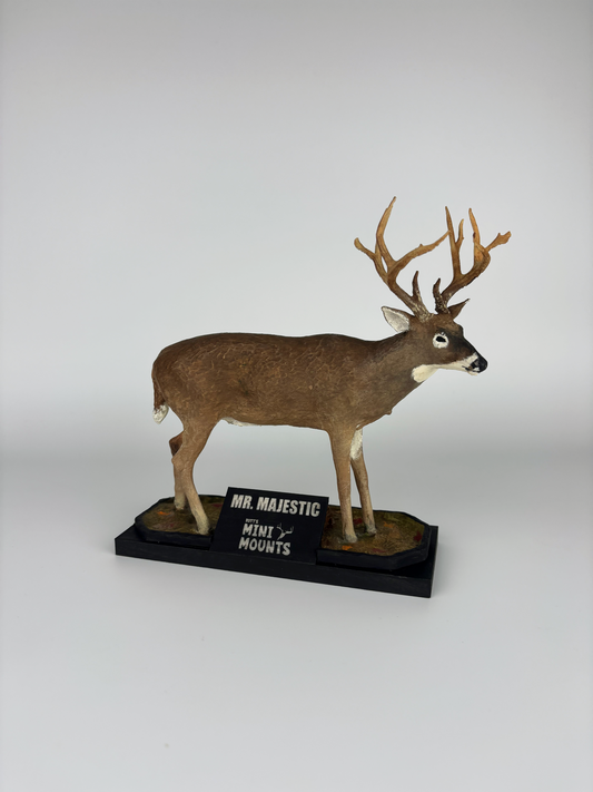 mini shoulder mount, mini whitetail mount, mini deer mount, mini muleys, mini muley mount, mini full body deer mount, 18 outdoors, mr. majestic, michael perry alabama, alabama state record book buck, muzzleloader buck, state record buck replica