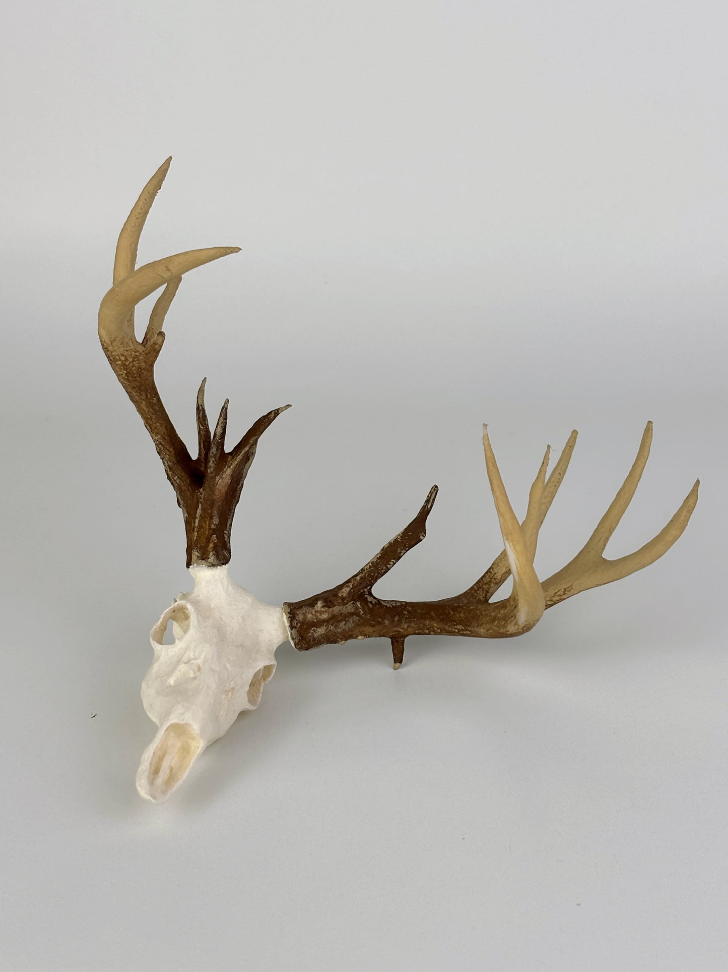 Elevate your hunting trophies with Rutt's Mini Mounts! Transform euro mounts, skulls, shoulder mounts, or sheds into handpainted mini replicas. Ideal for outdoor enthusiasts, hunters, and perfect as a gift for dads. Display proudly on your desk or rearview mirror. Suitable for various animal trophies. Great for desk or car decoration