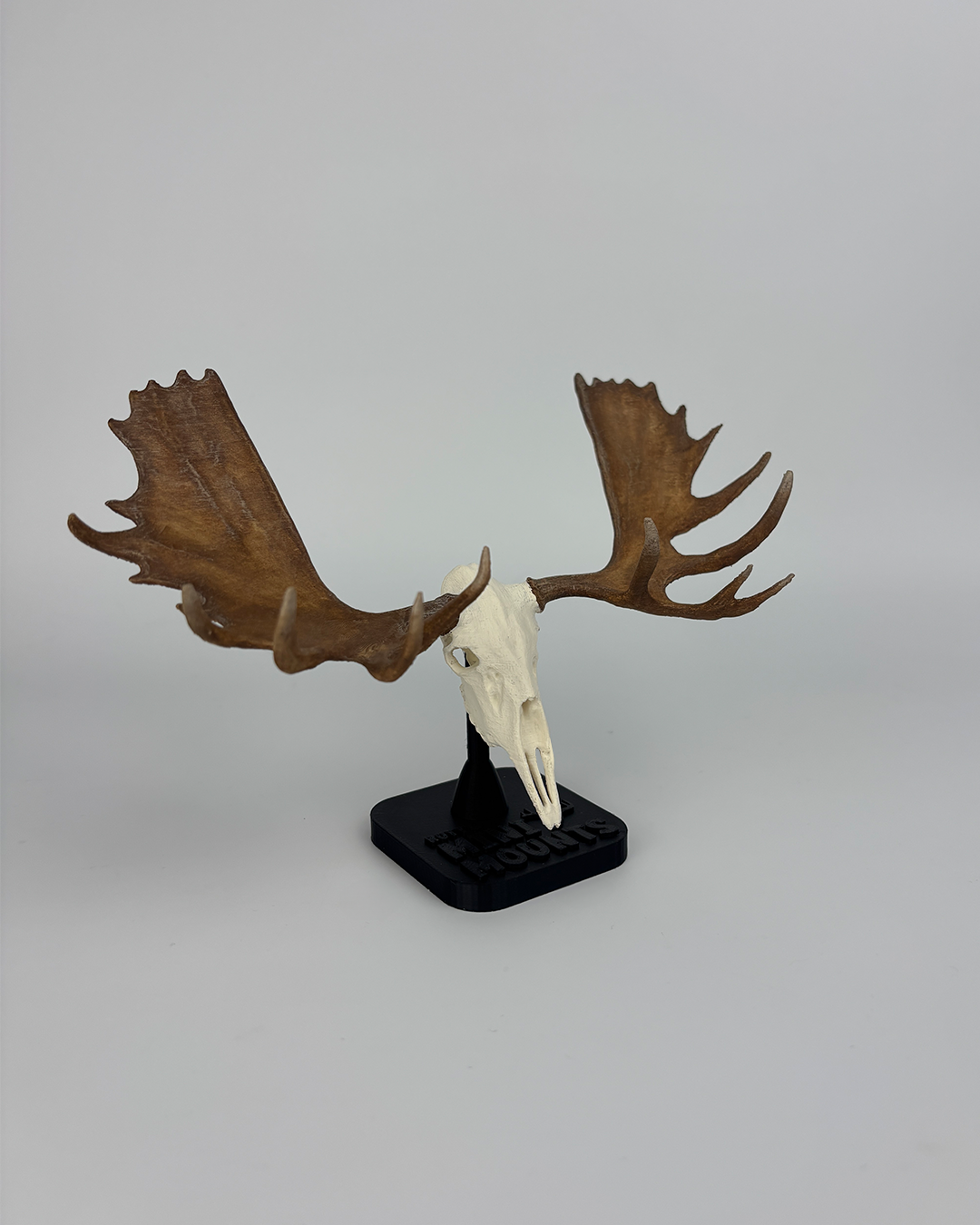 Mini Moose euro mount – detailed, hand-painted 6-inch hunting trophy for shelf or office decor.