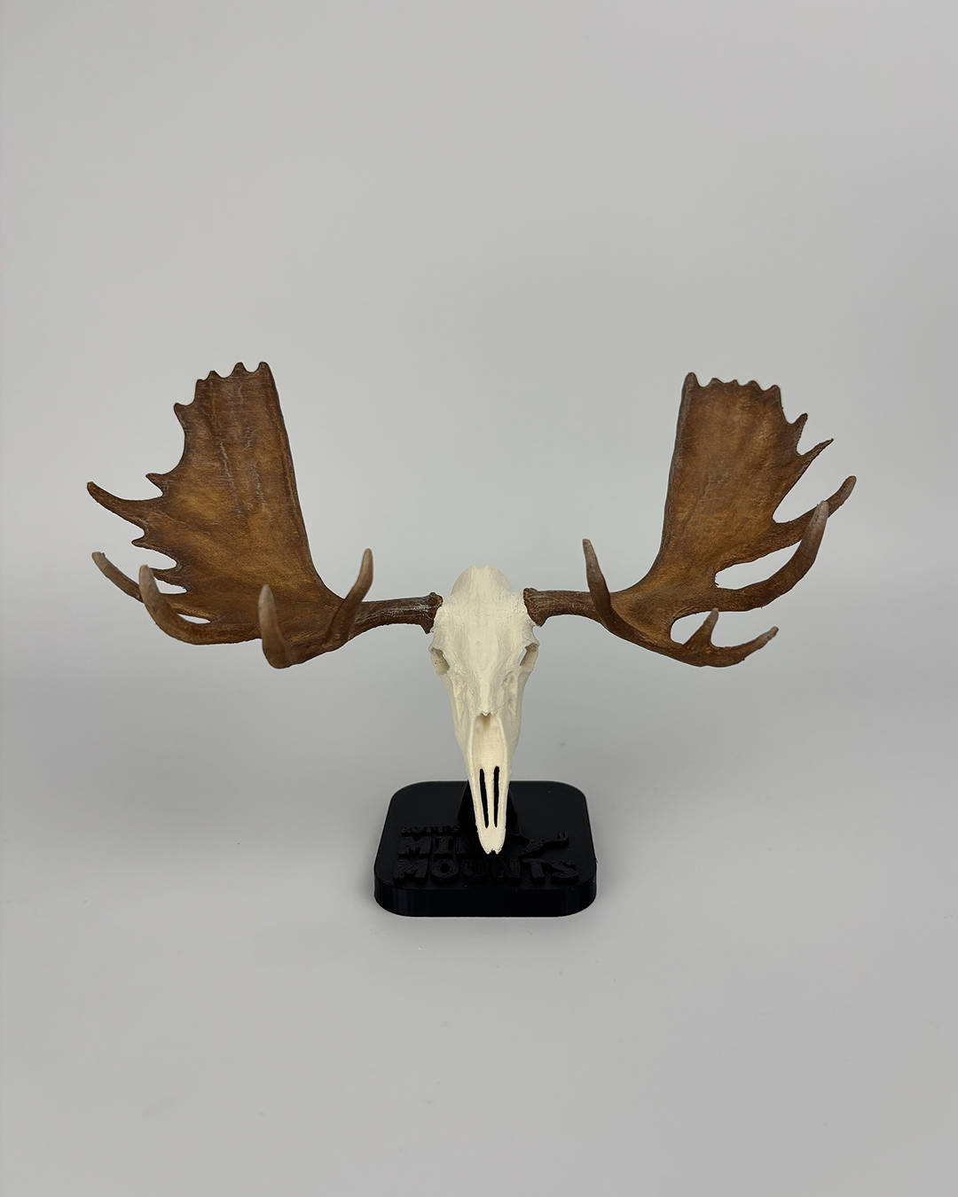 Mini Moose euro mount – detailed, hand-painted 6-inch hunting trophy for shelf or office decor.