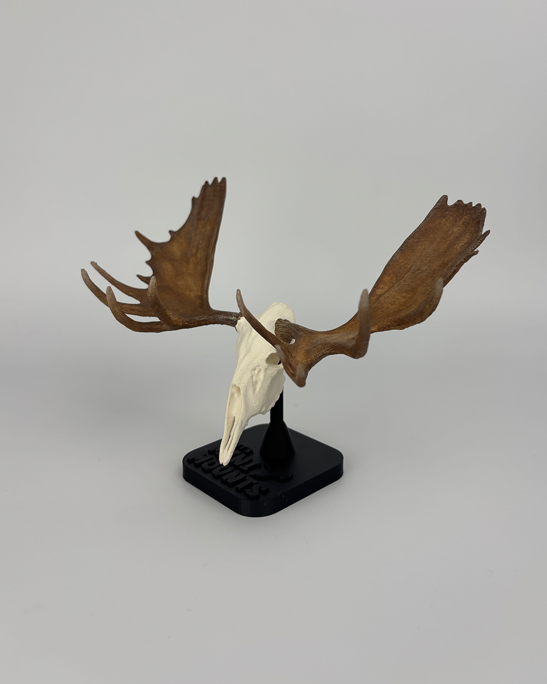 Mini Moose euro mount – detailed, hand-painted 6-inch hunting trophy for shelf or office decor.