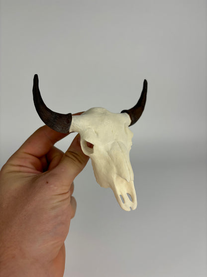 Custom Mini Painted Euro Mount / Skull (ANY SPECIES) - MEDIUM